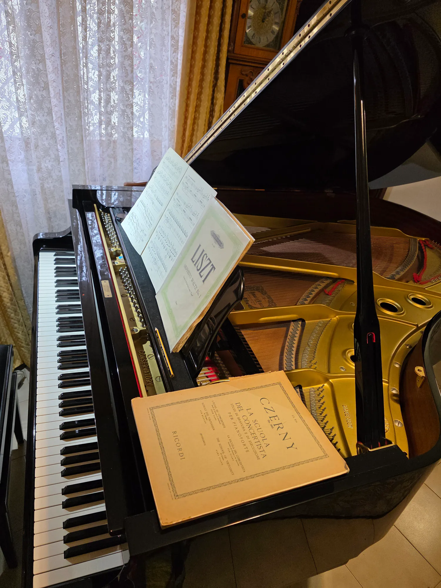 Listz e Czerny gli spartiti del pianista vistuoso.